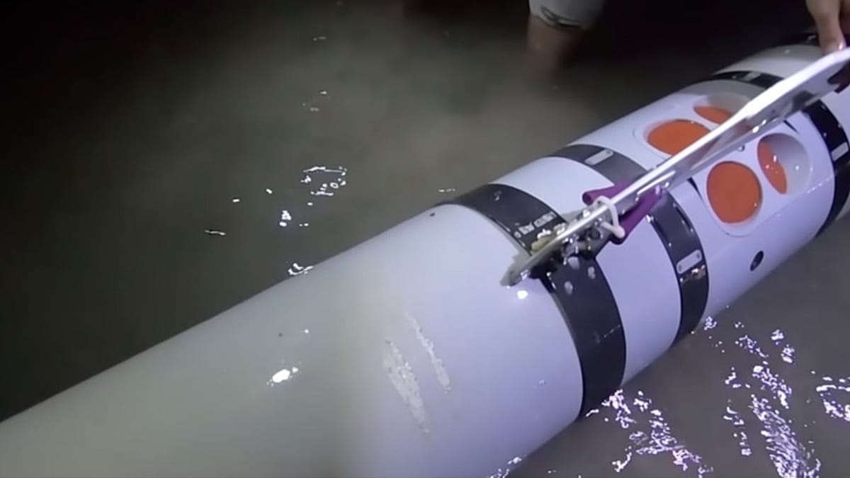 Iran's Revolutionary Guards claim second US drone seized in Strait of Hormuz