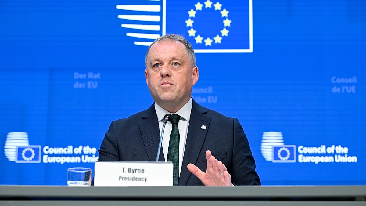 Ireland's EU budget plan proposes €141bn cut to win over frugal states