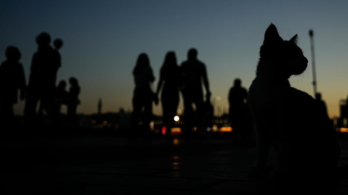 Istanbul's cultural life out of reach for many as ticket costs soar