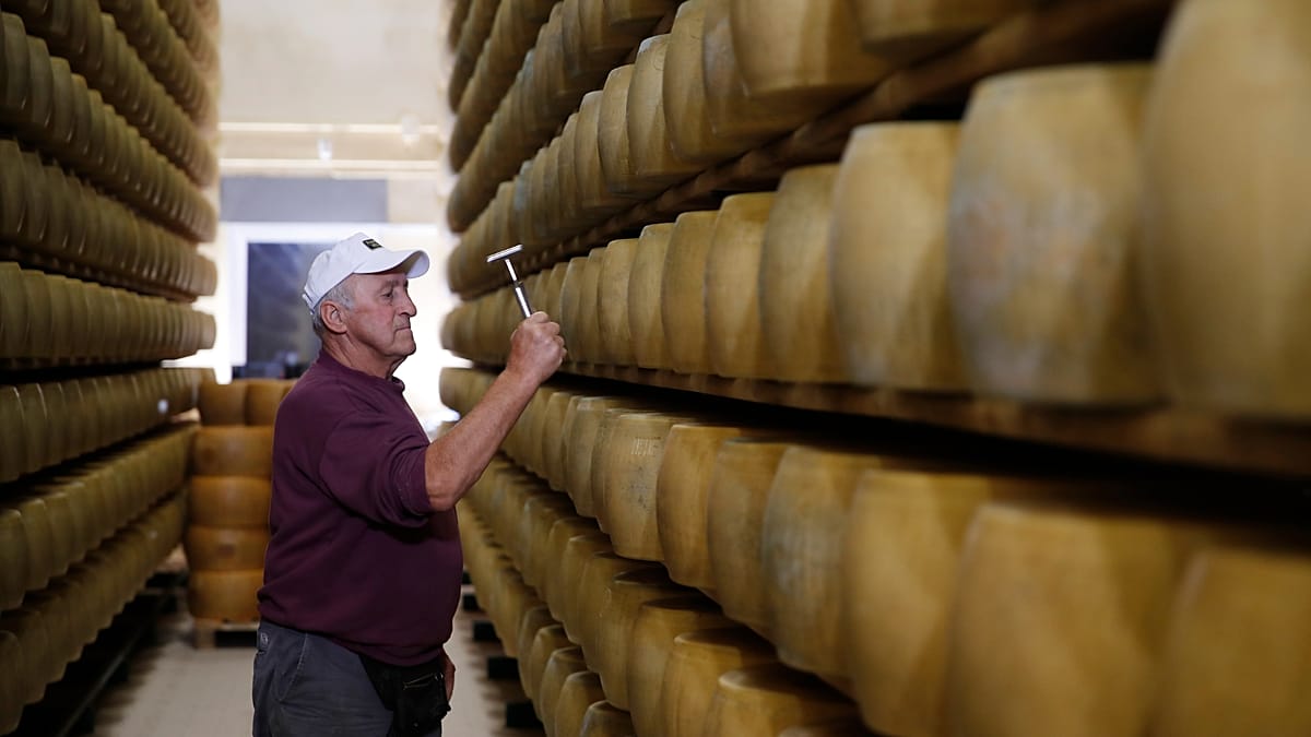 Italy's heatwaves push Parmigiano cheese banks to the limit
