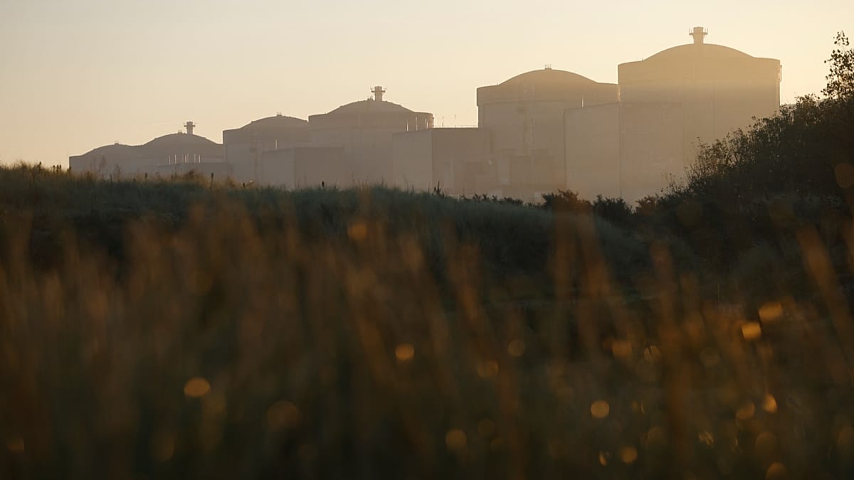 Jellyfish swarm forces shutdown of three reactors at France's Gravelines plant