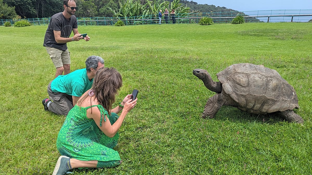 Jonathan the tortoise turns 192, still thriving on St Helena