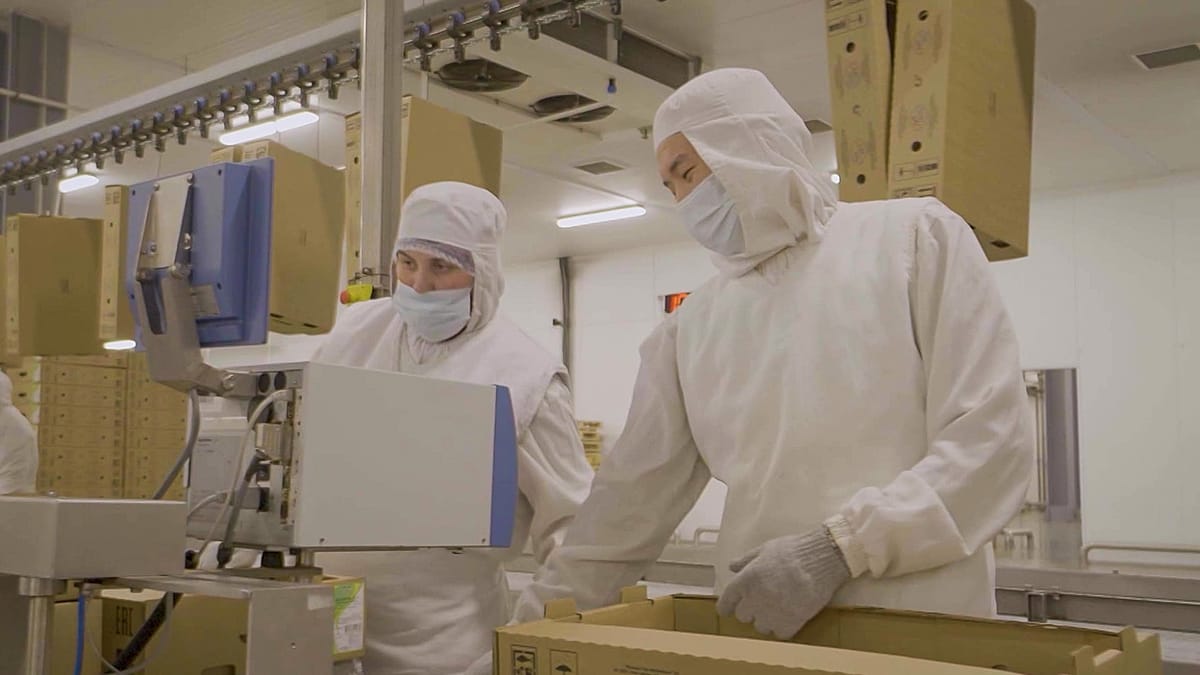 Kazakhstan Aims to Become Central Asia's Food Processing Powerhouse