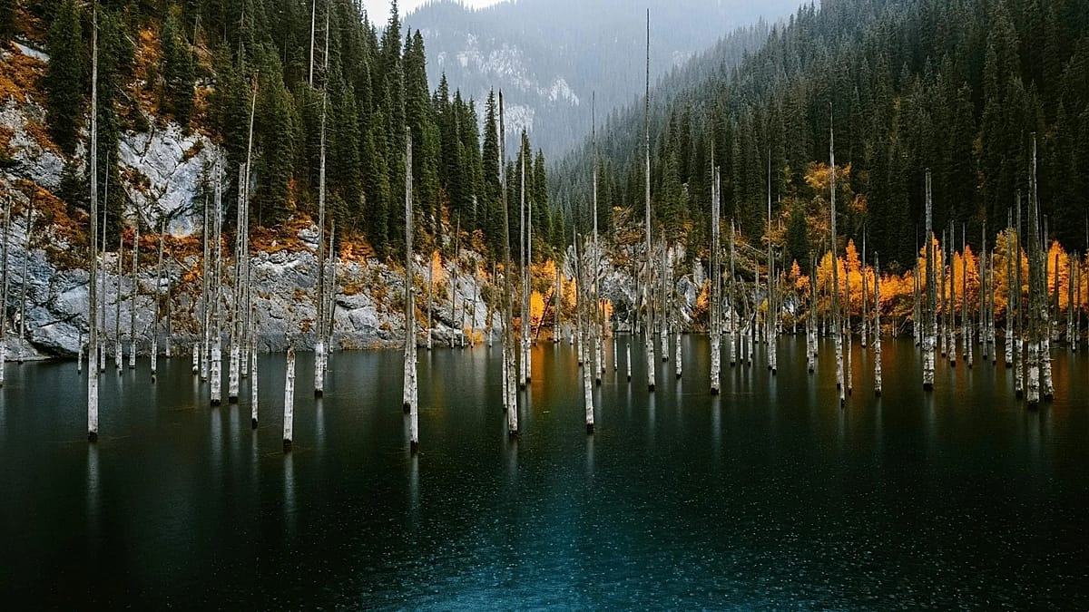 Kazakhstan Expands Protected Lands to Rival Italy in Size, Boosting Eco-Tourism