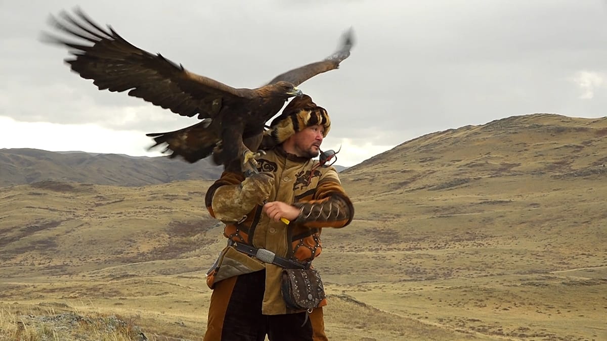 Kazakhstan hosts first Open Asian Falconry Cup in Bozanbay