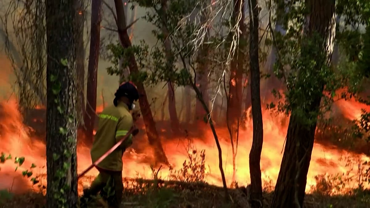 Kefalonia wildfires force evacuations as winds hamper Greek crews