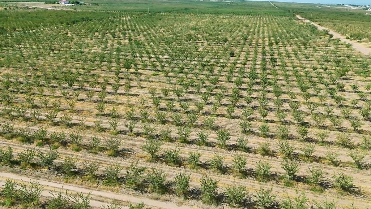 Landlocked nations face 75% higher import costs, threatening food security