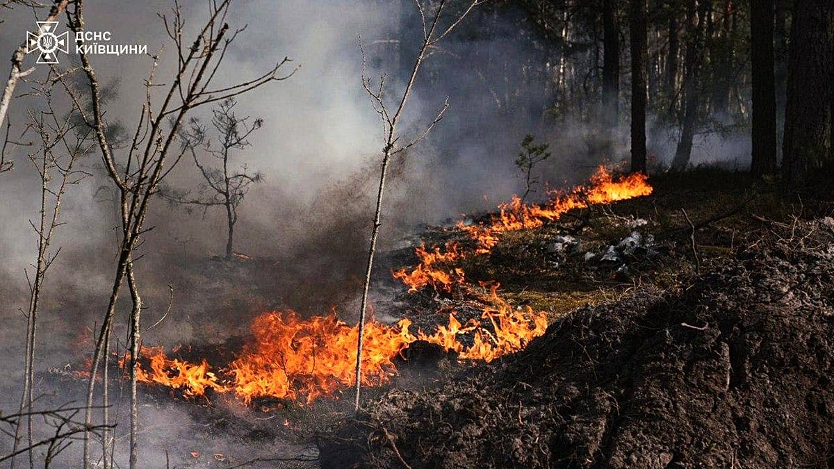 Large Forest Fire in Chernobyl Exclusion Zone After Drone Crash, Kyiv Reports