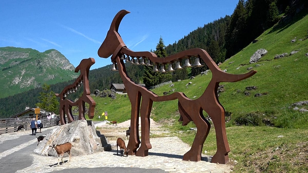 Les Lindarets: The French Alpine Village Where Goats Rule the Streets