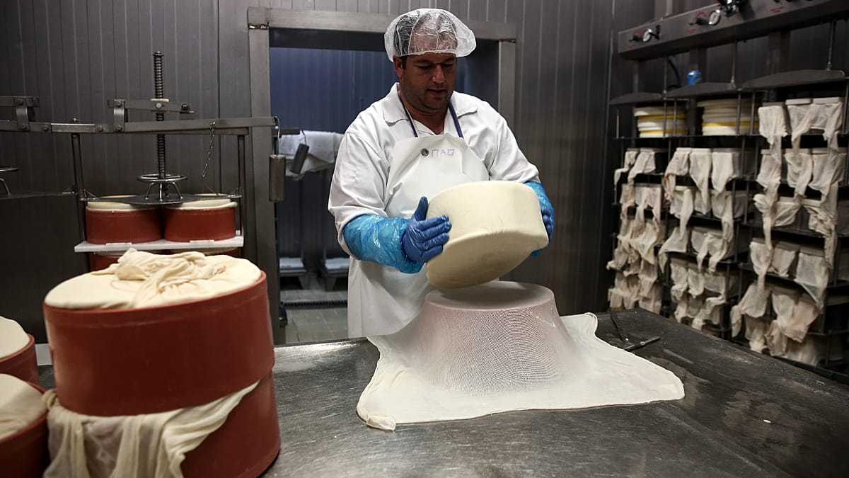 Lesvos cheese export ban lifted as foot-and-mouth outbreak eases