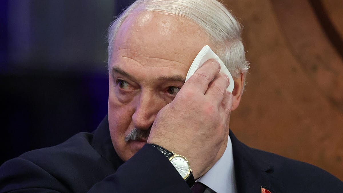 Lukashenka Apologises to Zelenskyy, Calls Him 'Young and Inexperienced'
