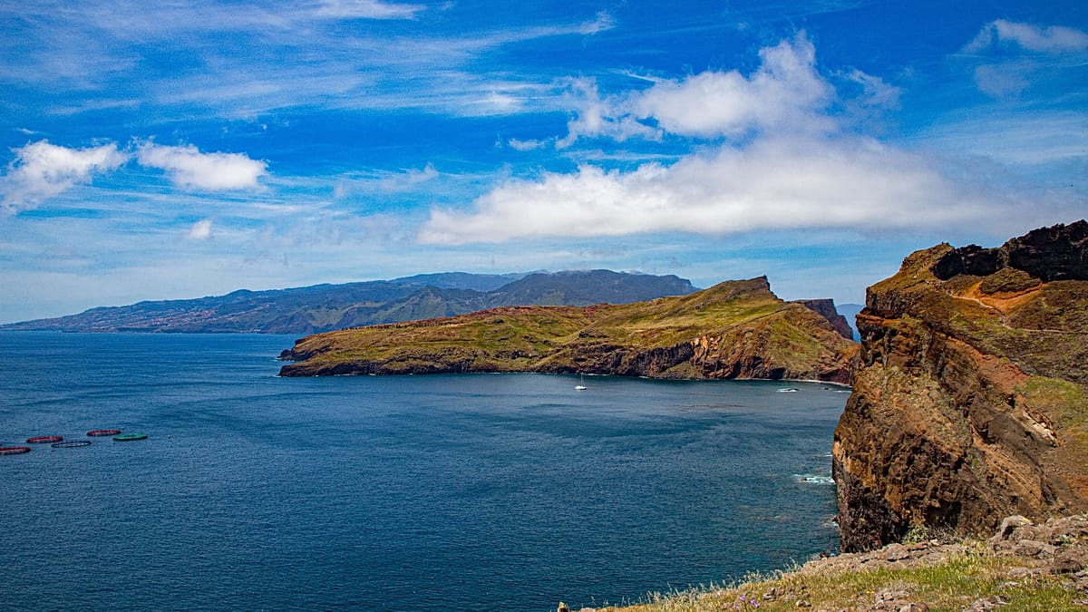 Madeira's Desertas Islands: How marine protection is reviving ocean life