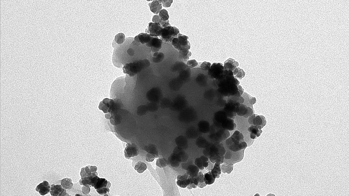 Magnetic nanoflowers turn PET nanoplastics into water-cleaning tools
