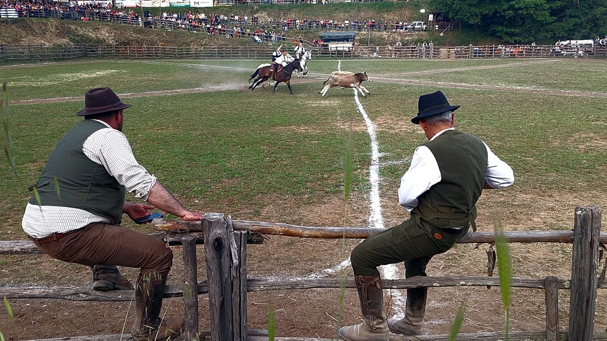 Maremma's Butteri: Lazio's Ancient Cowboy Tradition Adapts to Modernity