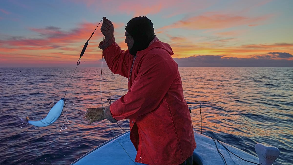 Mediterranean warming drives irreversible loss of native marine life
