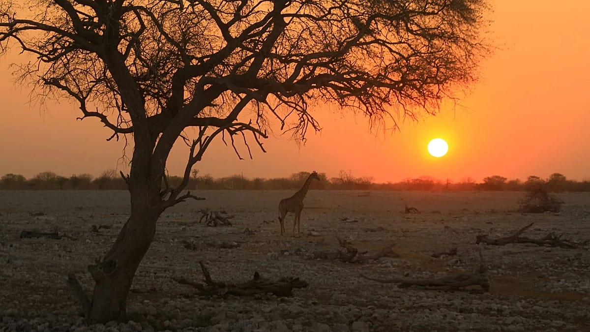 Meteorologist ranks the world's best golden hour destinations