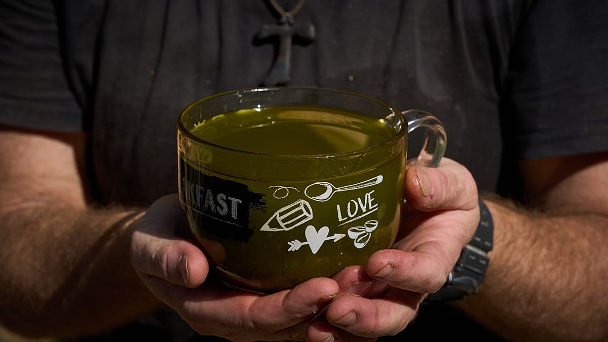 Morocco's Olive Oil Exports to Spain Surge 9,979%: Market Shift or Statistical Blip?