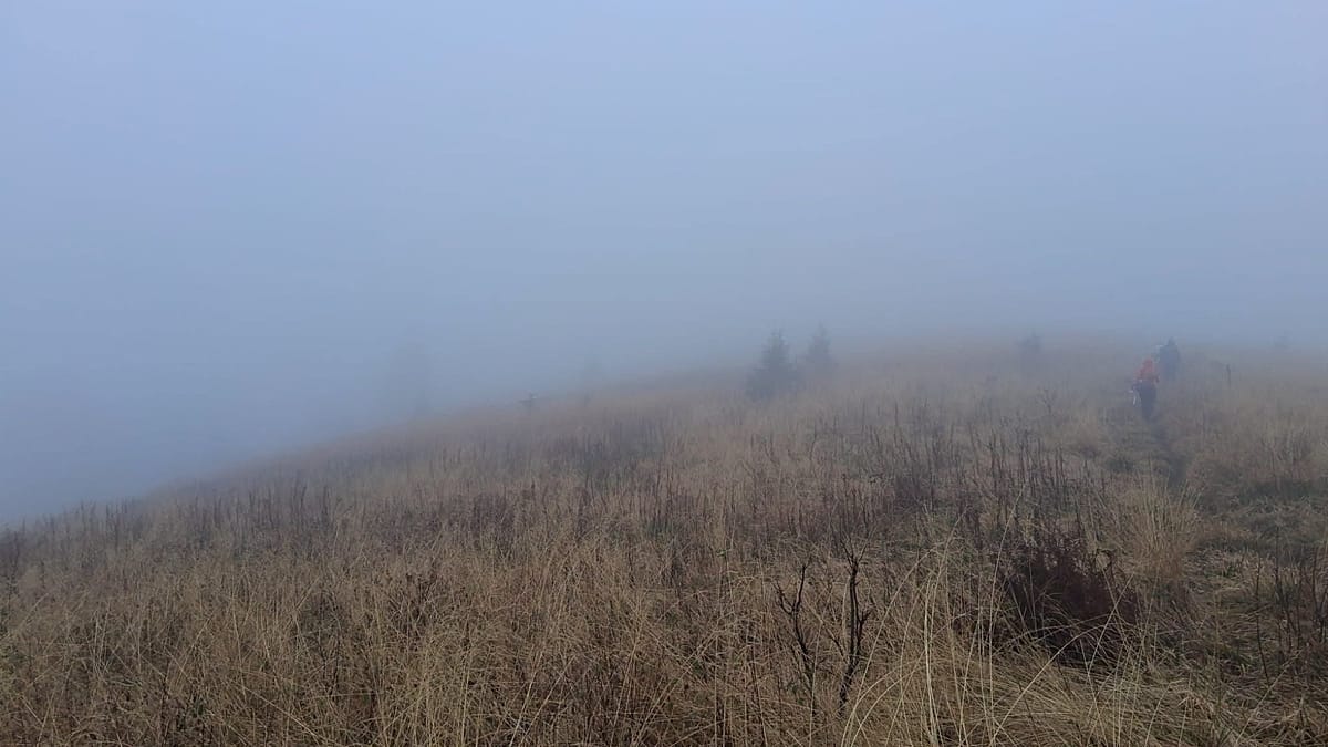 Mother abandons sons on Polish mountain trail to summit alone