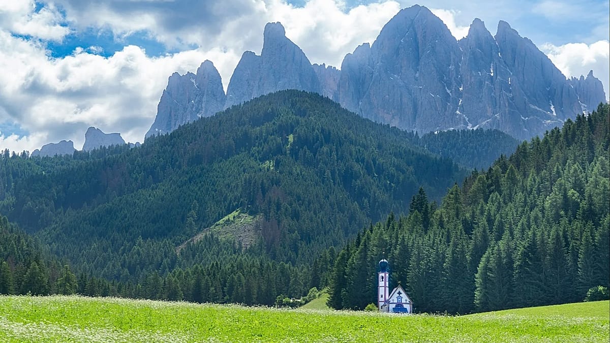 New 3,500km Wolf Trail Links Poland to Italy Across Six European Countries