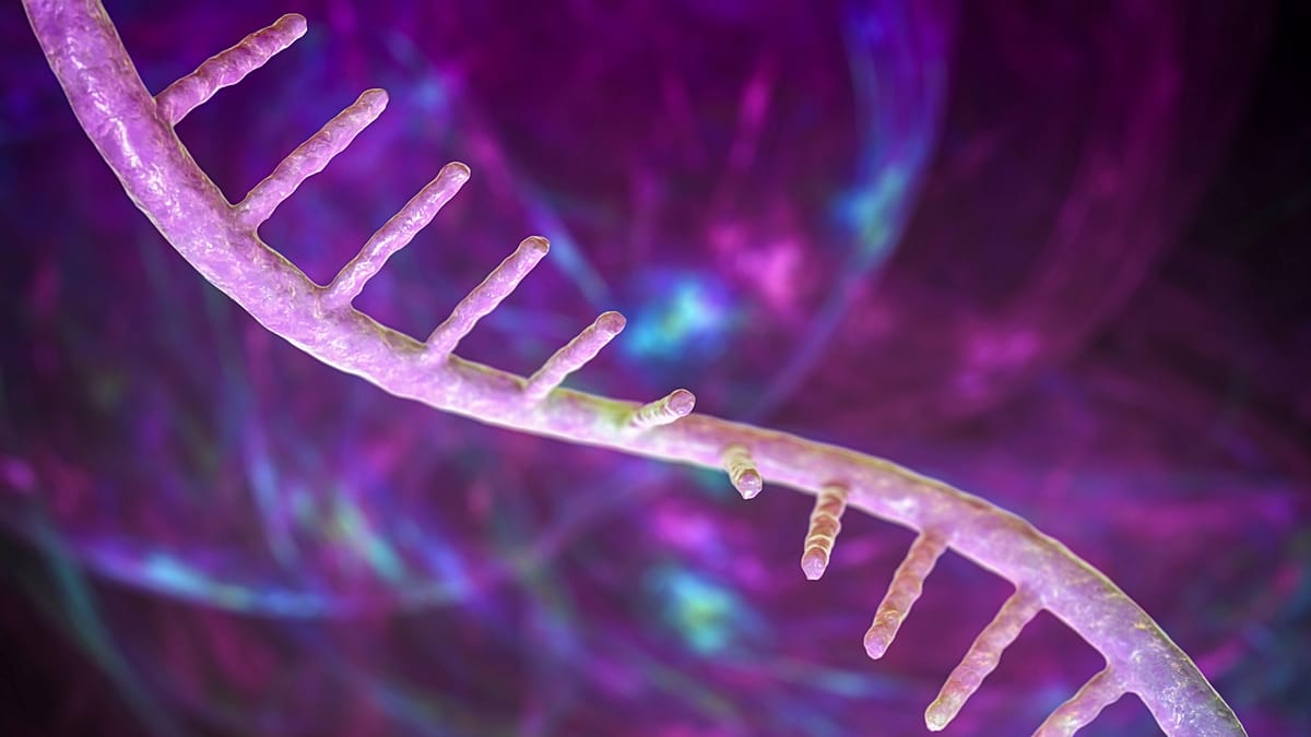 New RNA tweak could boost protein output of mRNA therapies
