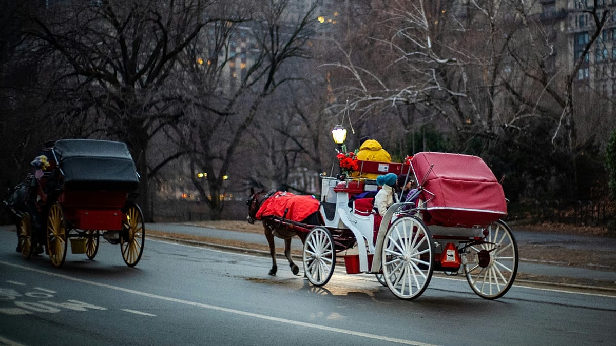 New York votes to end Central Park's horse-drawn carriage rides
