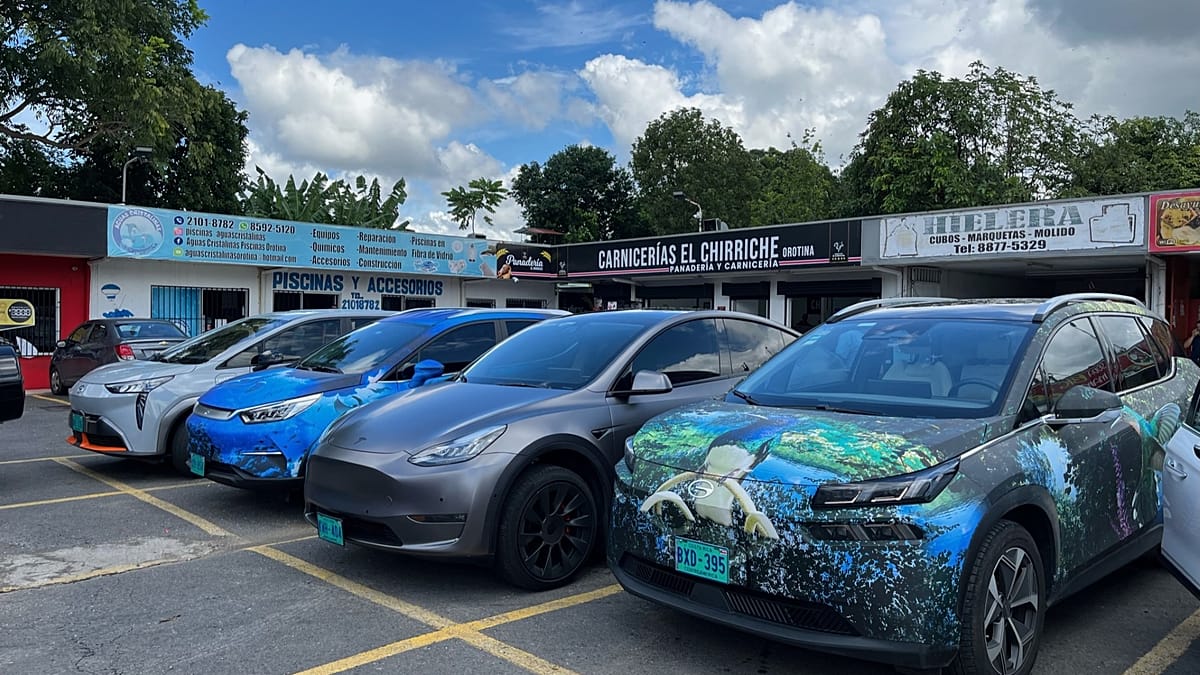 Norwegians buy more Chinese EVs despite rising political concerns