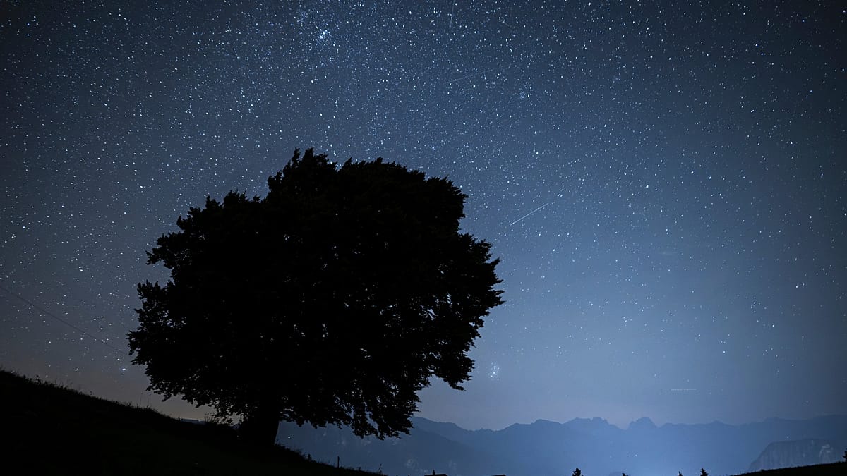 October skies: How to catch the Draconid and Orionid meteor showers