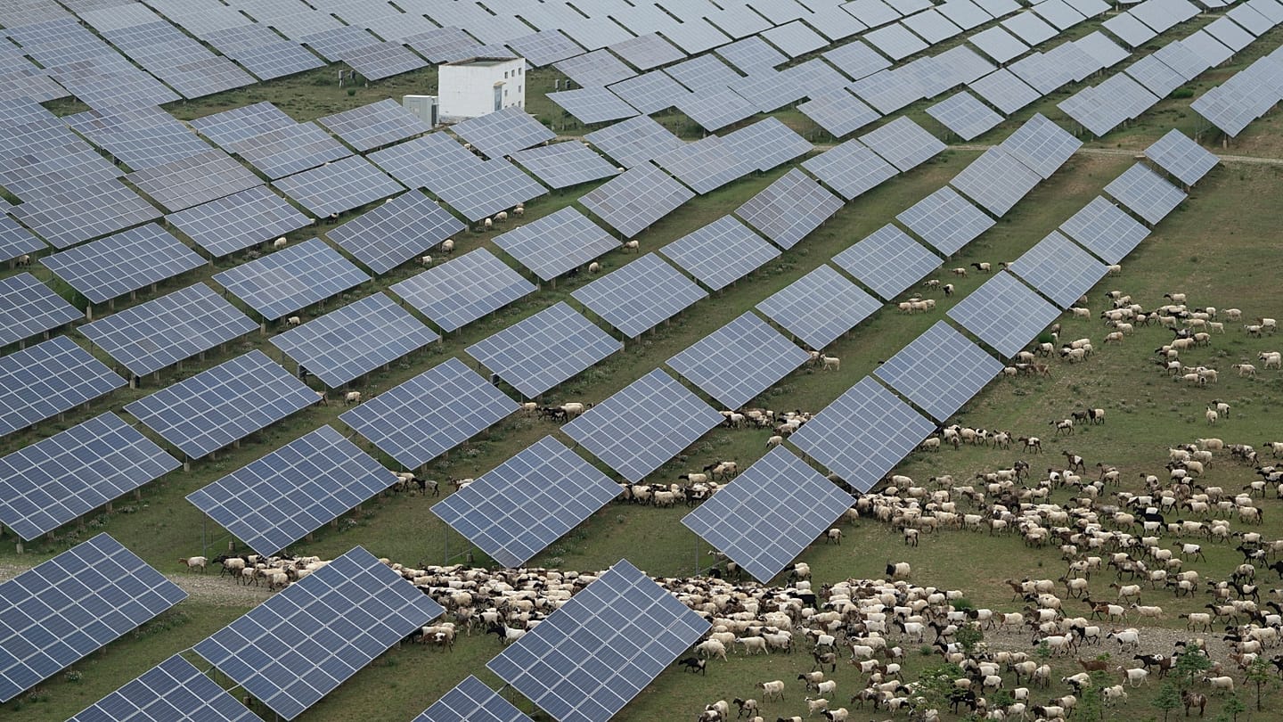 OECD Report: China's State Subsidies Reach Record Levels, Distorting Markets