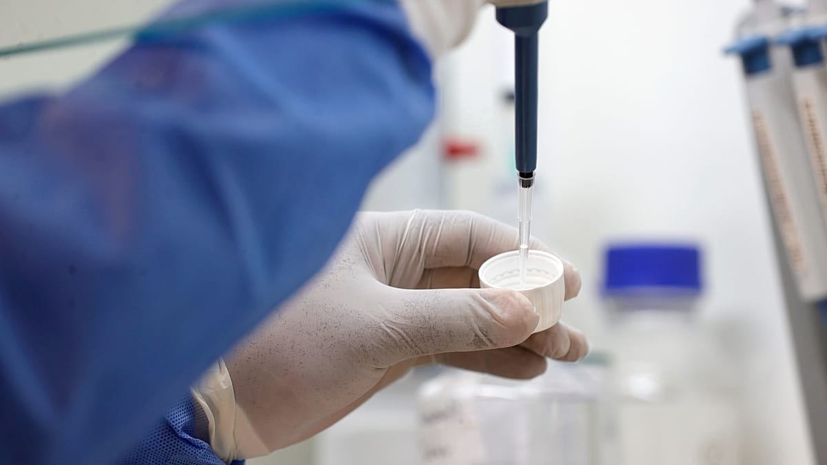 Pneumonic plague in Siberia: experts assess the risks