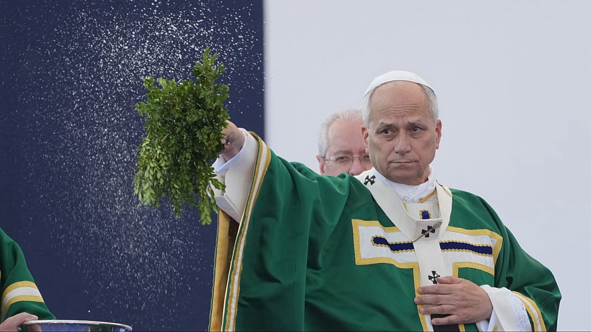 Pope Leo XIV urges French Church to persist in abuse fight