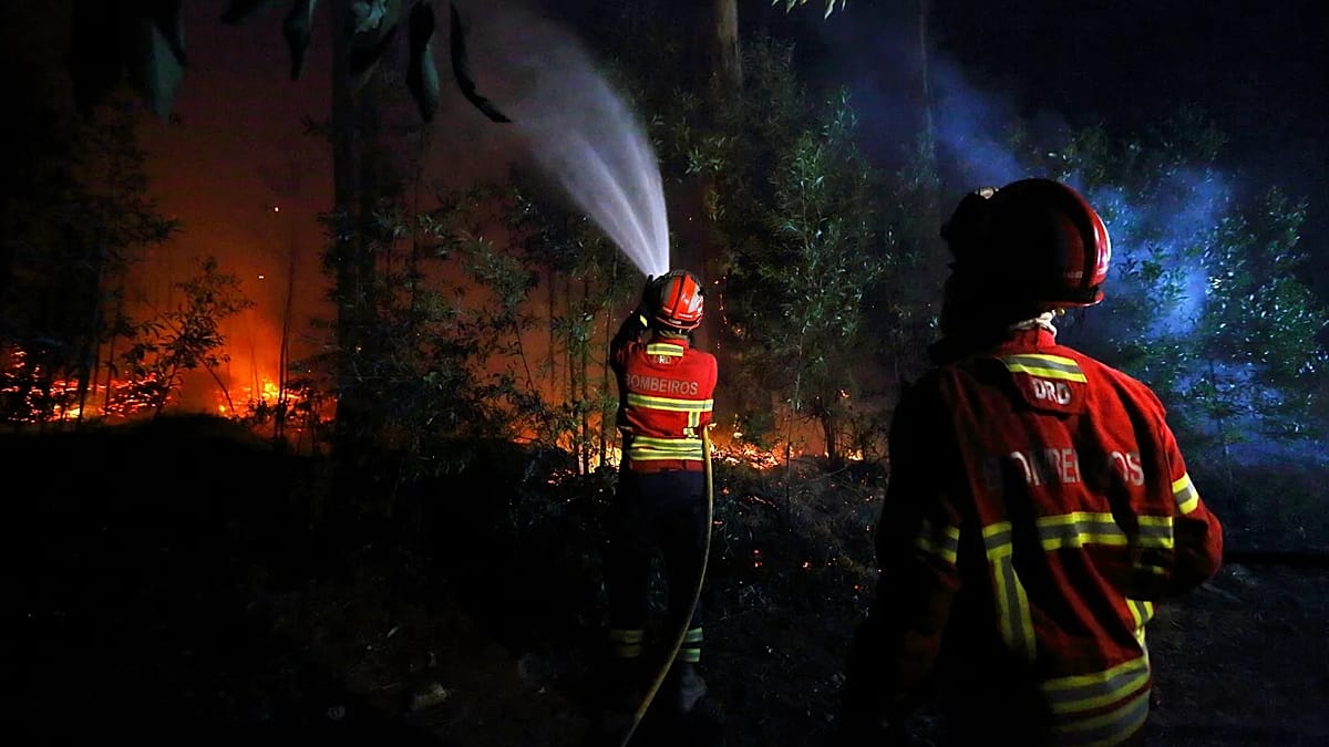 Portugal battles wildfires with over 2,000 personnel as heat persists