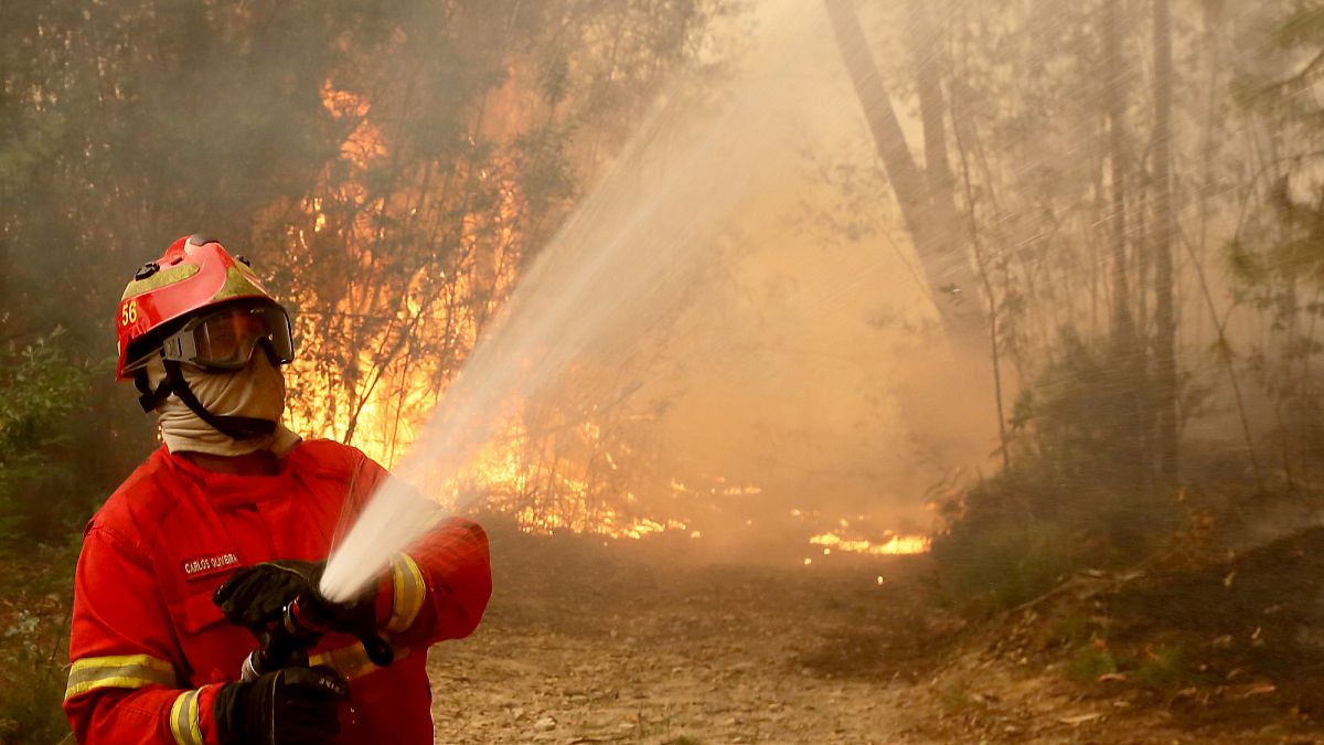 Portugal Deploys Over 1,000 Firefighters as Heatwave Sparks Wildfires