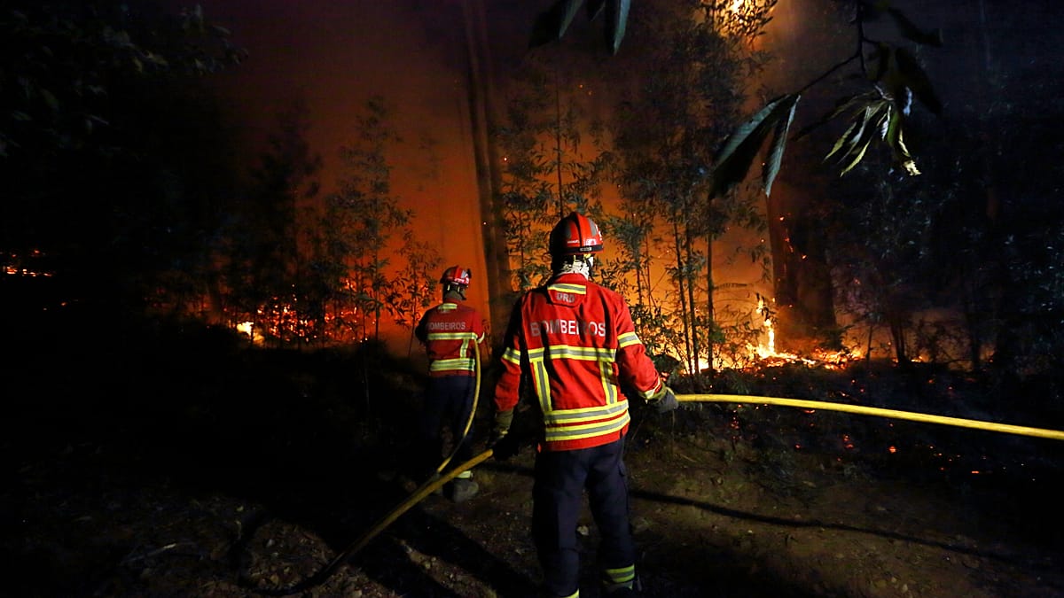 Portugal Gears Up for Severe Wildfire Season After Winter Storms