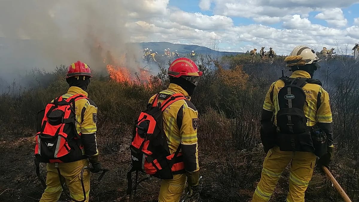 Portugal Hosts Major EU Wildfire Drill with 700 Personnel from Six Nations