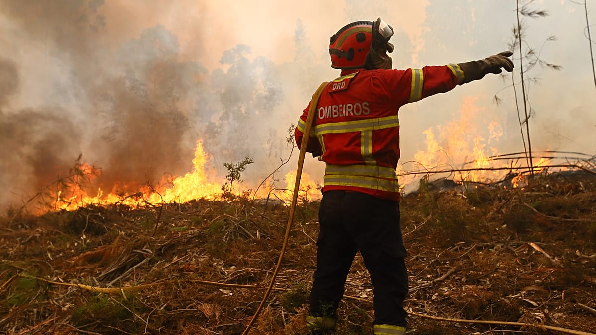 Portugal Mobilises Over 1,000 Firefighters as Heatwave Fuels Wildfires