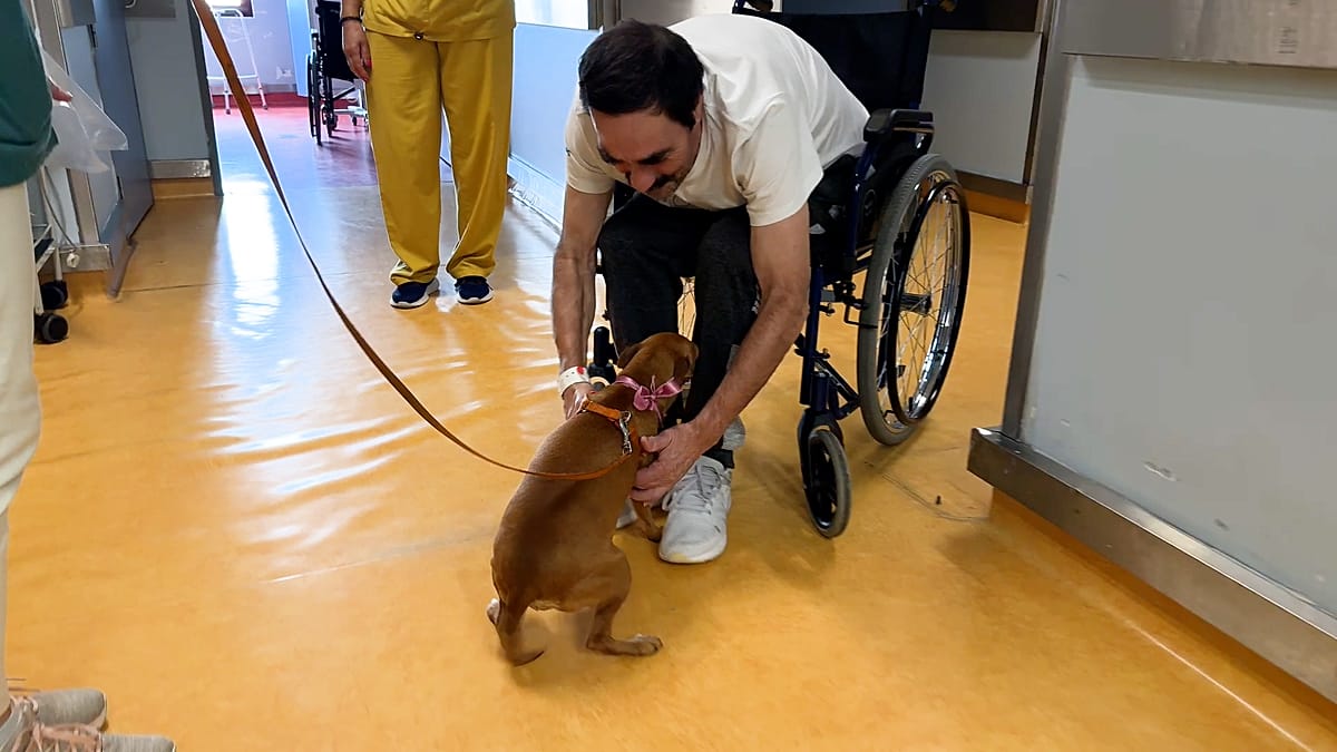 Portuguese hospital opens wards to family pets in pioneering scheme