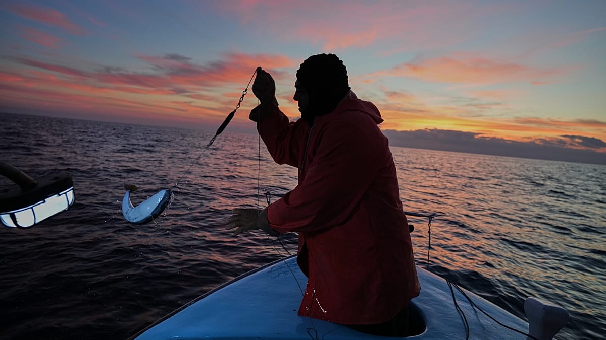Pufferfish Invasion Devastates Crete's Fishing Industry, Fishermen Demand Subsidies