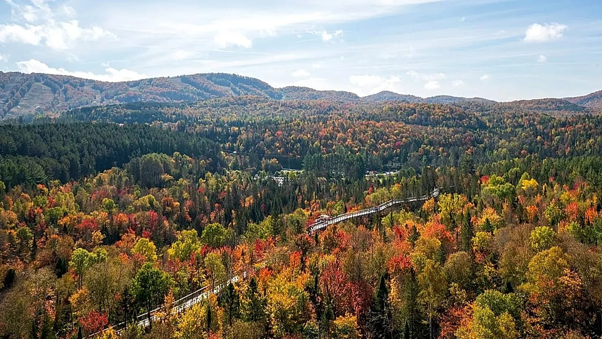 Québec, Kyoto and Austria's Wachau Valley lead autumn foliage rankings