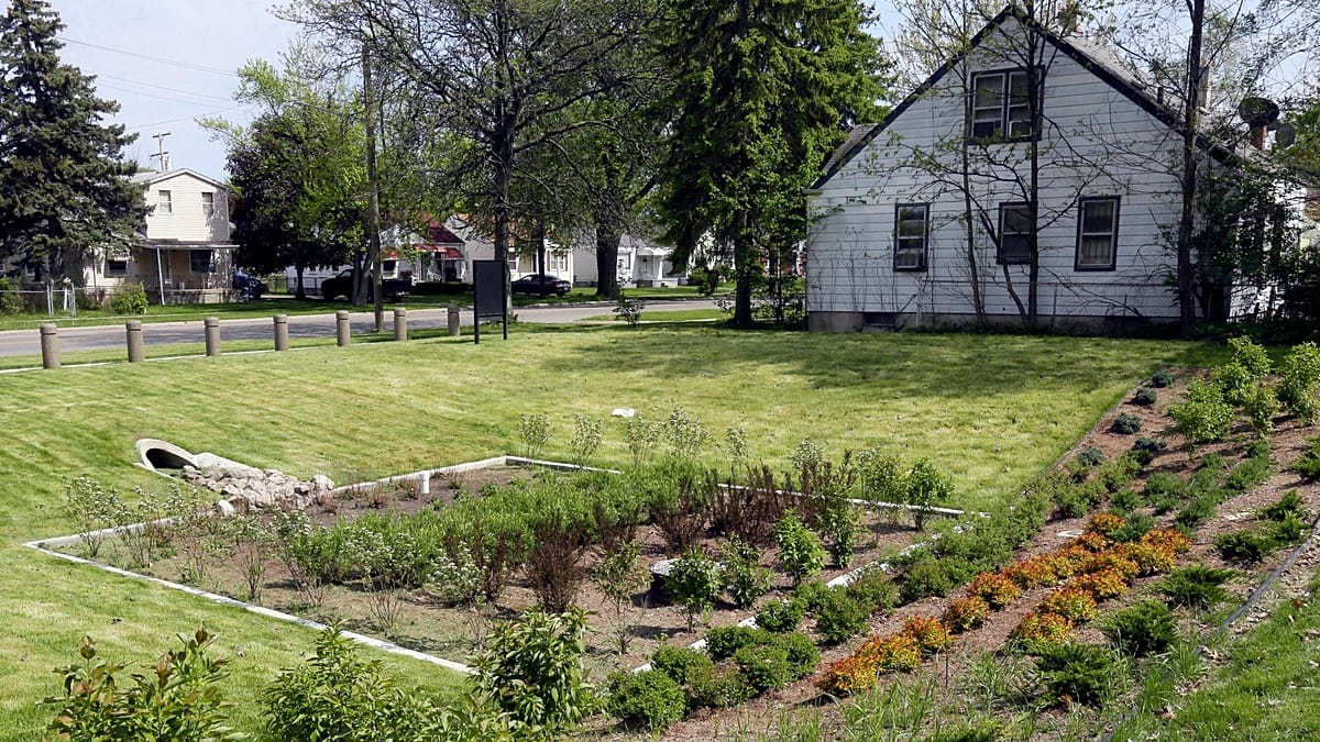 Rain gardens: a practical defence against Europe's worsening floods