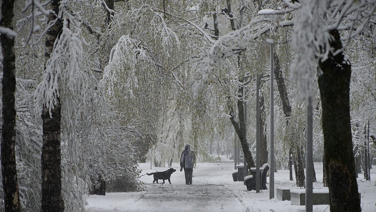 Rare Spring Snowstorm Disrupts Moscow, Prompts Orange Alert