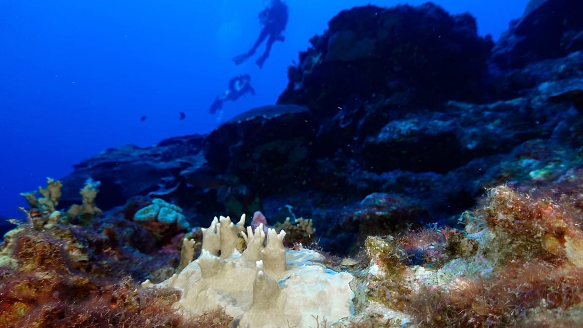 Record Ocean Heat Threatens Europe with Sea Level Rise and Extreme Weather