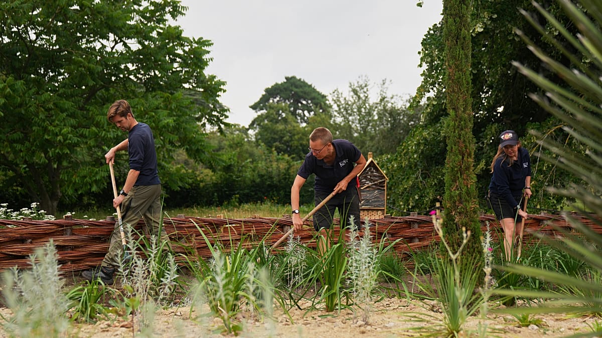 Red-Painted Dead Oak at Kew Gardens Becomes Stark Symbol of Climate Change