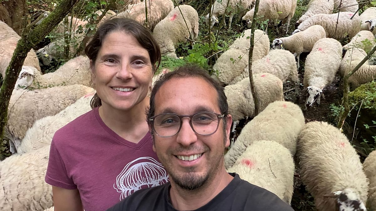 Regenerative farming emerges as key shield against Spanish wildfires
