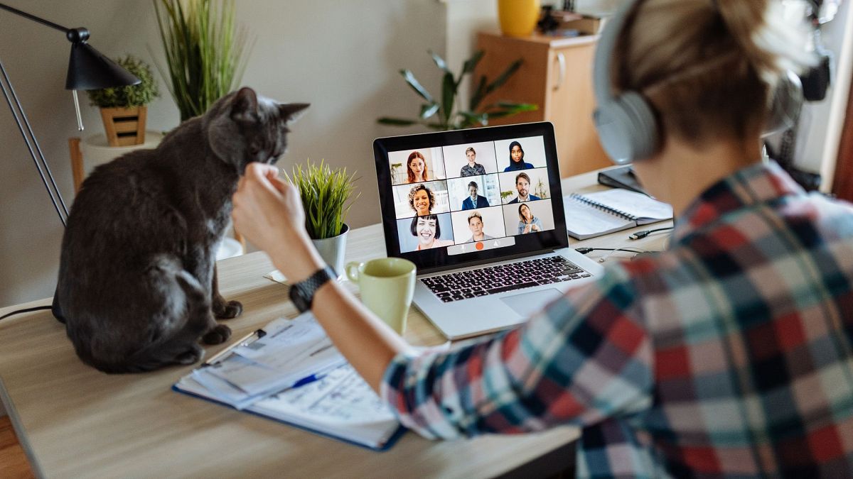 Remote work leaders: which EU countries embrace home working most