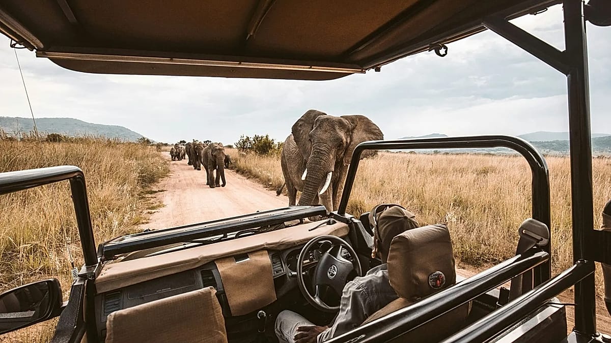 Resale platform lets travellers offload non-refundable bookings