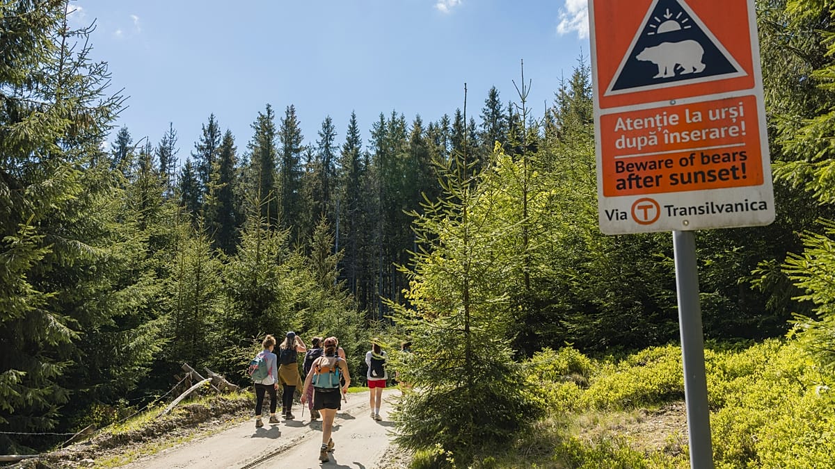 Romania's Via Transilvanica: A Wild, Welcoming Alternative to the Camino de Santiago