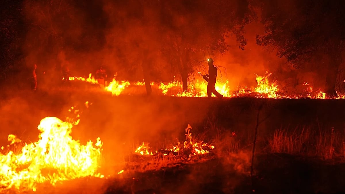Sánchez condemns climate denial as Spain battles devastating wildfires