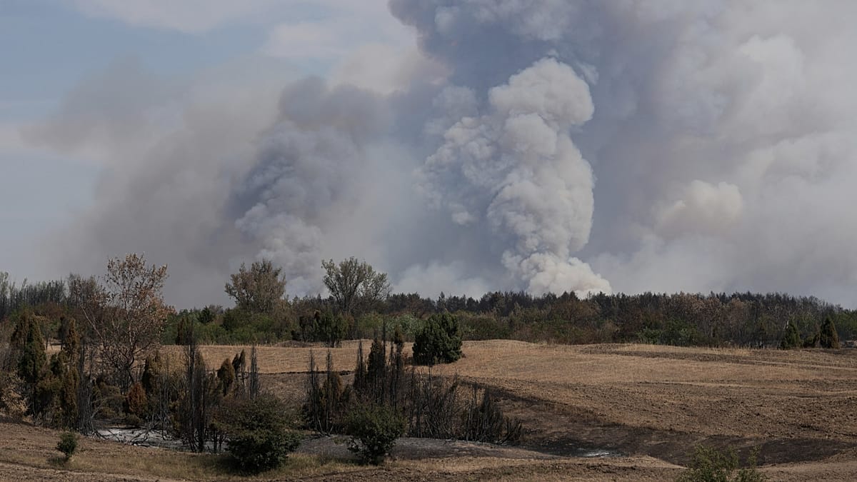 Serbian wildfire in Deliblatska Peščara forces evacuations as heat returns