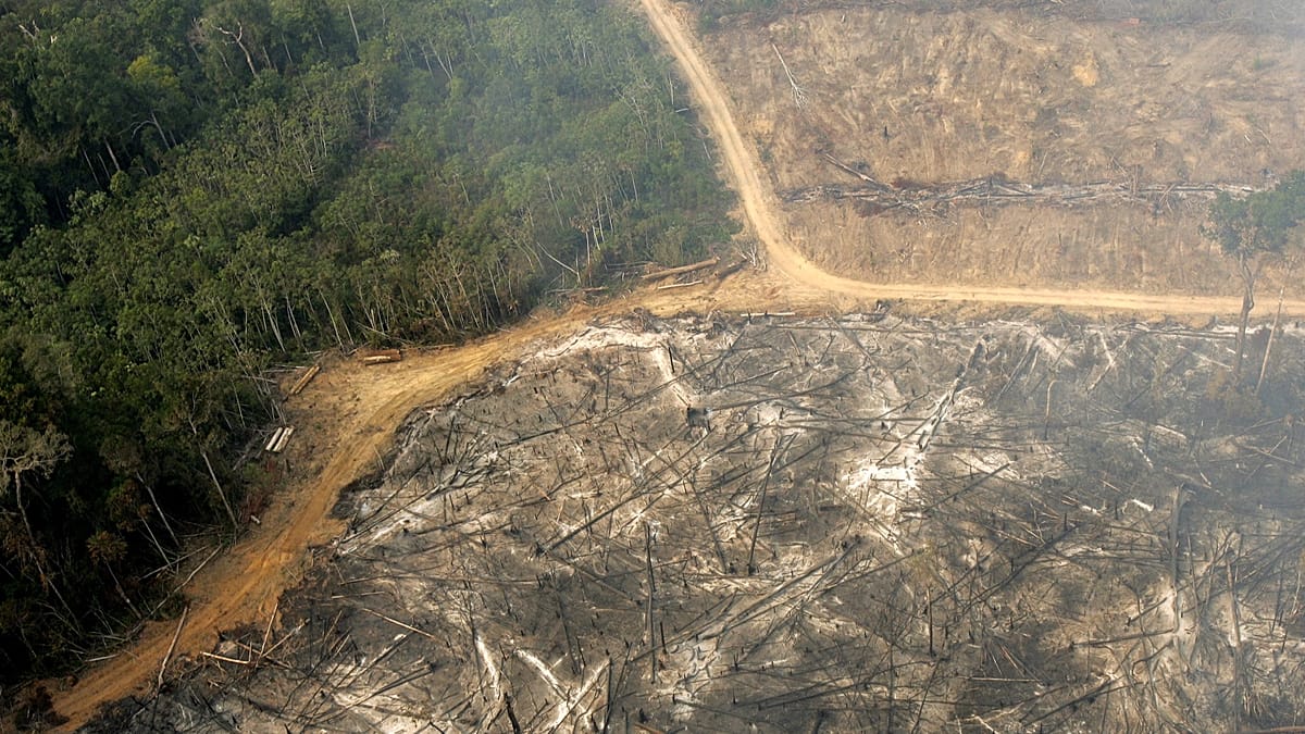 Seven of Nine Planetary Boundaries Breached as Scientists Warn Margin for Error Is Shrinking