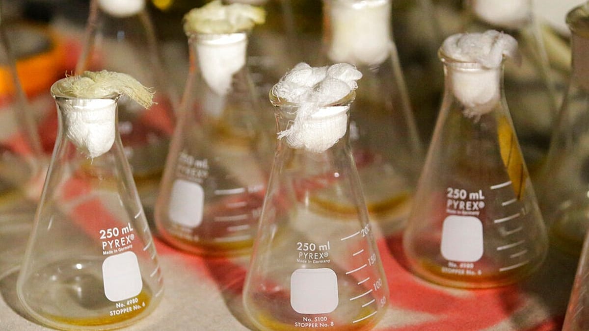Siberian lab death revives scrutiny of Russia's plague research